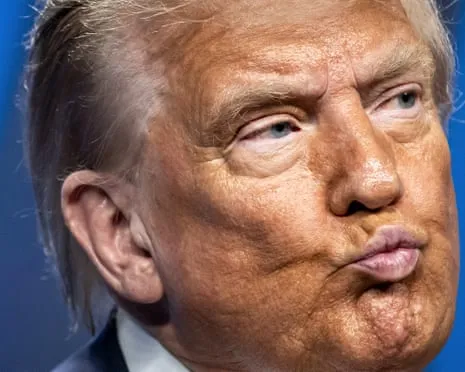 Trump vs Reality Overview: No Other Channel Would Attempt TV So Bold (and) Exhausting