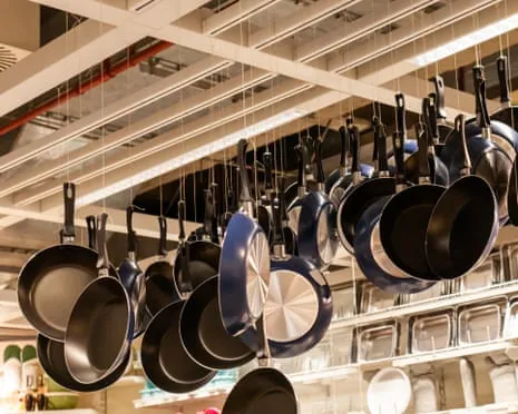 Teflon Diet, Garlic Milk and Striped Cattle Shine at 2025 Alternative Science Prizes