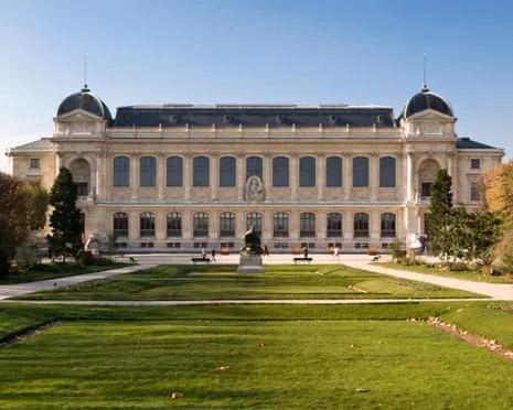 Historic Gold Samples Snatched in Audacious Robbery at French Natural History Museum