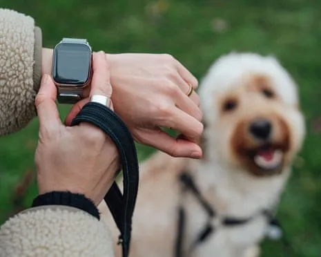 The Honest Scoop Regarding Smartwatches? Life Feels Fuller Lacking a Nagging Zealot on Your Arm